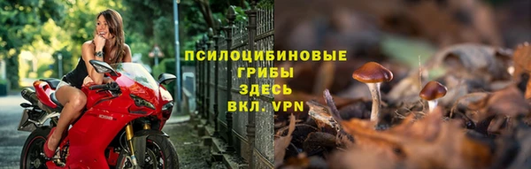 индика Нея