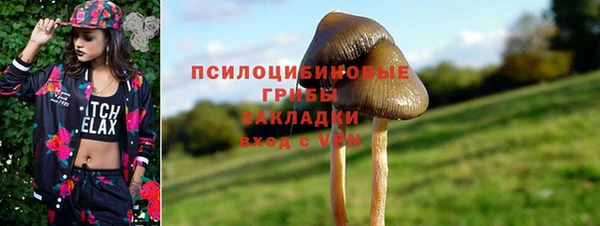 индика Нея