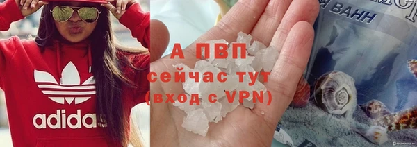 индика Нея