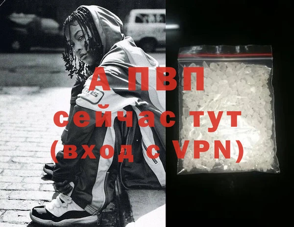 индика Нея
