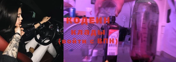 индика Нея
