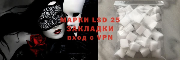 индика Нея