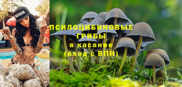 индика Нея