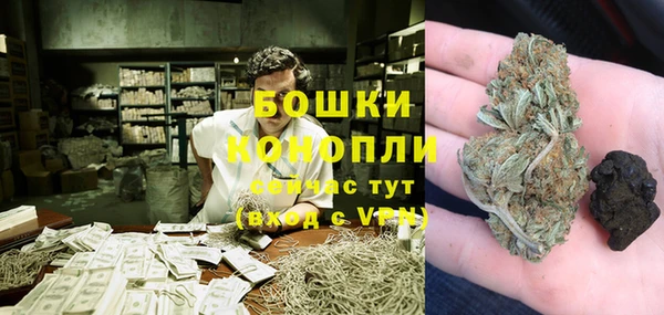 индика Нея