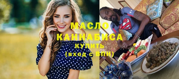 индика Нея