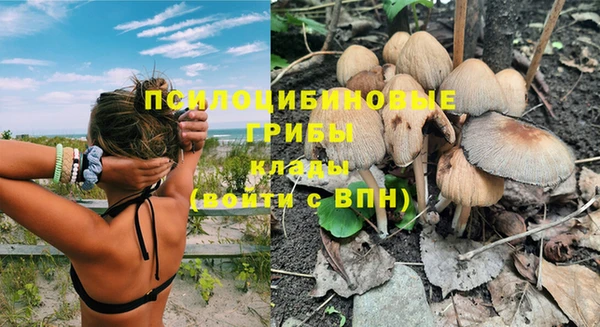 mdma Нефтекумск