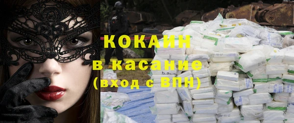 индика Нея