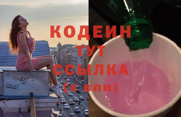 индика Нея