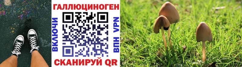 KRAKEN ТОР  закладки  Туапсе  Галлюциногенные грибы MAGIC MUSHROOMS 
